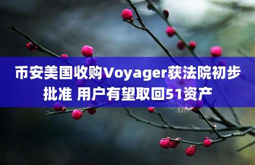 币安美国收购Voyager获法院初步批准 用户有望取回51资产