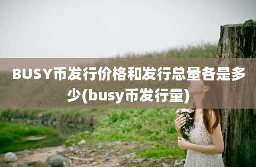 BUSY币发行价格和发行总量各是多少(busy币发行量)