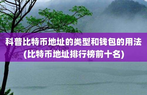 科普比特币地址的类型和钱包的用法(比特币地址排行榜前十名)