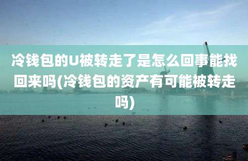 冷钱包的U被转走了是怎么回事能找回来吗(冷钱包的资产有可能被转走吗)