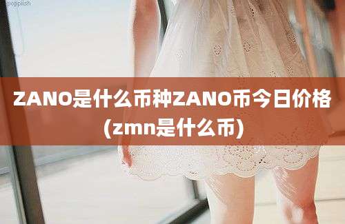 ZANO是什么币种ZANO币今日价格(zmn是什么币)