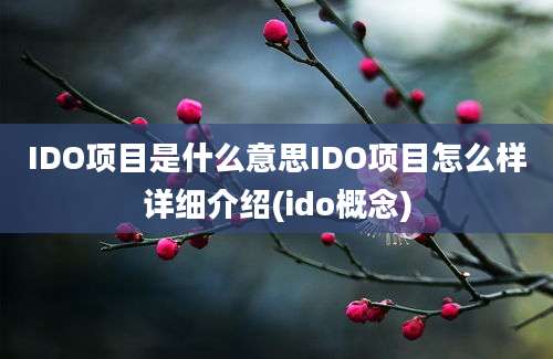 IDO项目是什么意思IDO项目怎么样详细介绍(ido概念)