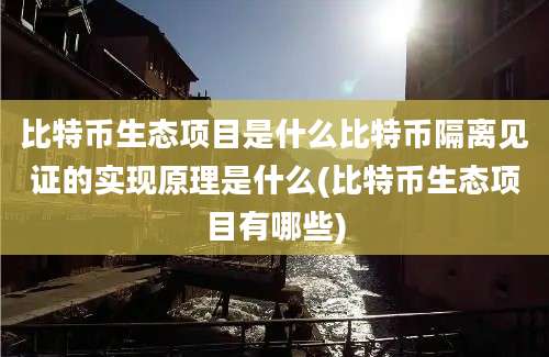 比特币生态项目是什么比特币隔离见证的实现原理是什么(比特币生态项目有哪些)