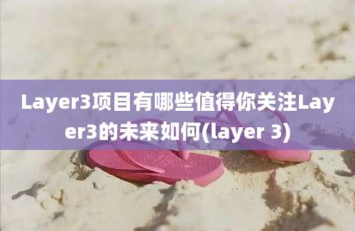 Layer3项目有哪些值得你关注Layer3的未来如何(layer 3)