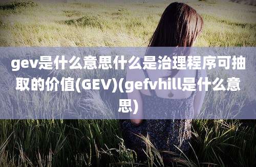 gev是什么意思什么是治理程序可抽取的价值(GEV)(gefvhill是什么意思)