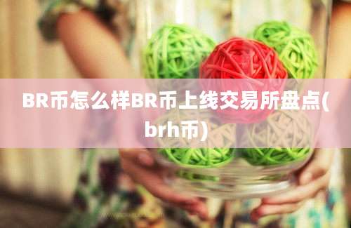 BR币怎么样BR币上线交易所盘点(brh币)