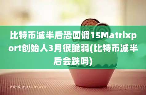 比特币减半后恐回调15Matrixport创始人3月很脆弱(比特币减半后会跌吗)