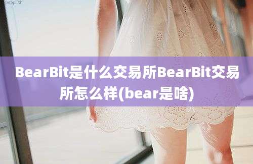 BearBit是什么交易所BearBit交易所怎么样(bear是啥)