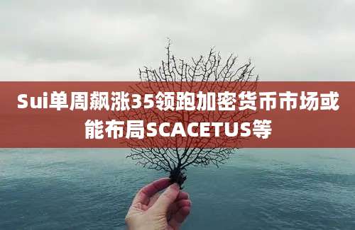 Sui单周飙涨35领跑加密货币市场或能布局SCACETUS等