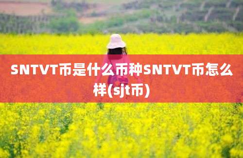 SNTVT币是什么币种SNTVT币怎么样(sjt币)