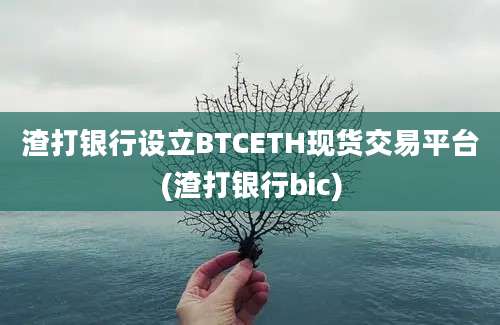 渣打银行设立BTCETH现货交易平台(渣打银行bic)