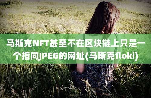 马斯克NFT甚至不在区块链上只是一个指向JPEG的网址(马斯克floki)