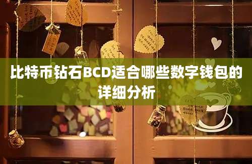 比特币钻石BCD适合哪些数字钱包的详细分析