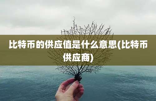 比特币的供应值是什么意思(比特币供应商)