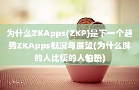 为什么ZKApps(ZKP)是下一个趋势ZKApps概况与展望(为什么胖的人比瘦的人怕热)