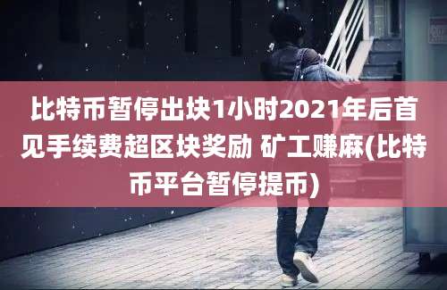 比特币暂停出块1小时2021年后首见手续费超区块奖励 矿工赚麻(比特币平台暂停提币)