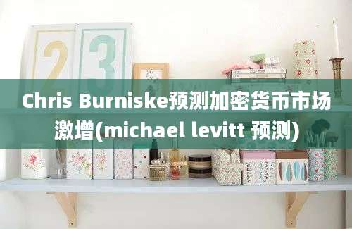 Chris Burniske预测加密货币市场激增(michael levitt 预测)