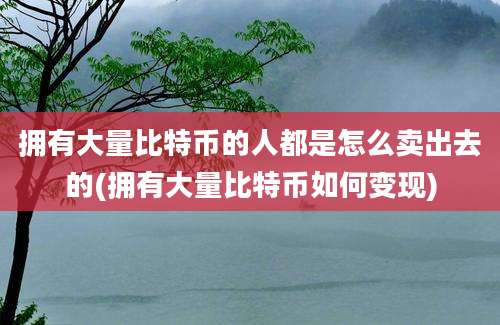 拥有大量比特币的人都是怎么卖出去的(拥有大量比特币如何变现)