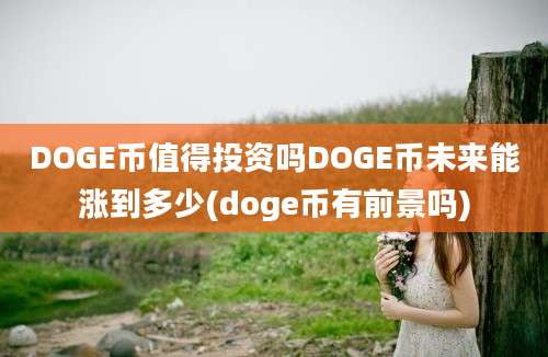 DOGE币值得投资吗DOGE币未来能涨到多少(doge币有前景吗)