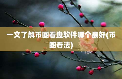 一文了解币圈看盘软件哪个最好(币圈看法)