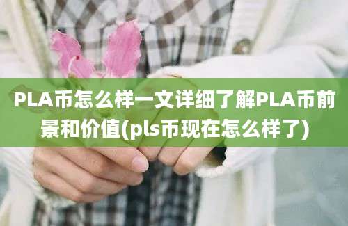 PLA币怎么样一文详细了解PLA币前景和价值(pls币现在怎么样了)