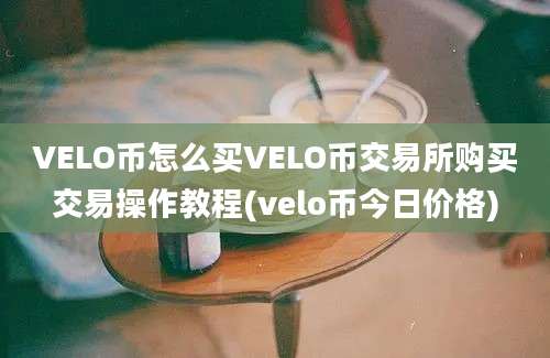 VELO币怎么买VELO币交易所购买交易操作教程(velo币今日价格)