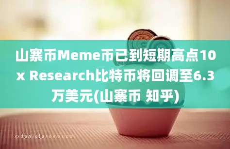 山寨币Meme币已到短期高点10x Research比特币将回调至6.3万美元(山寨币 知乎)