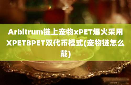 Arbitrum链上宠物xPET爆火采用XPETBPET双代币模式(宠物链怎么戴)