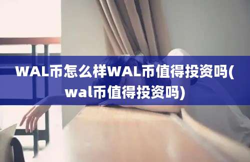 WAL币怎么样WAL币值得投资吗(wal币值得投资吗)