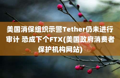 美国消保组织示警Tether仍未进行审计 恐成下个FTX(美国政府消费者保护机构网站)