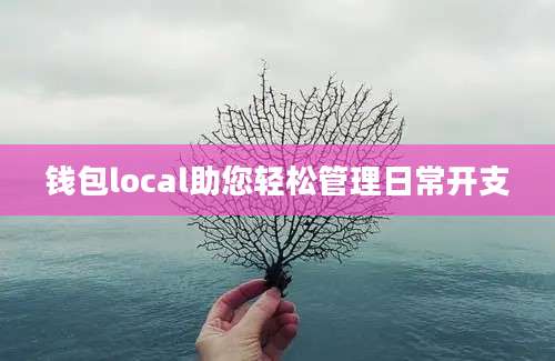 钱包local助您轻松管理日常开支