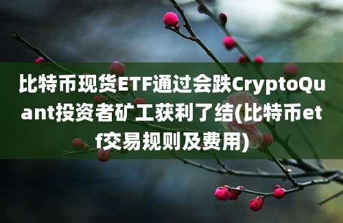 比特币现货ETF通过会跌CryptoQuant投资者矿工获利了结(比特币etf交易规则及费用)