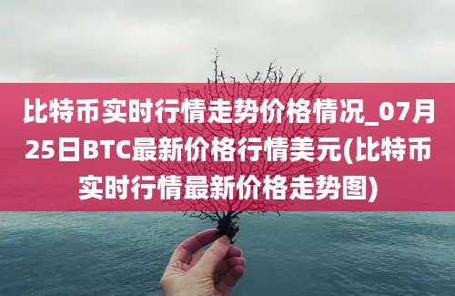 比特币实时行情走势价格情况_07月25日BTC最新价格行情美元(比特币实时行情最新价格走势图)