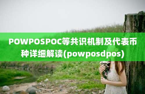 POWPOSPOC等共识机制及代表币种详细解读(powposdpos)