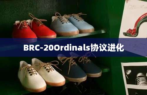 BRC-20Ordinals协议进化