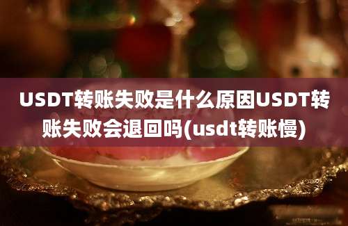 USDT转账失败是什么原因USDT转账失败会退回吗(usdt转账慢)