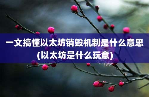 一文搞懂以太坊销毁机制是什么意思(以太坊是什么玩意)