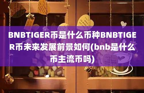 BNBTIGER币是什么币种BNBTIGER币未来发展前景如何(bnb是什么币主流币吗)