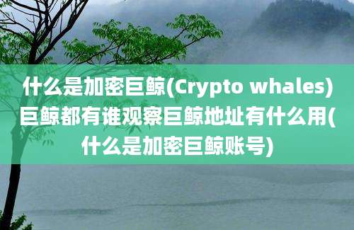 什么是加密巨鲸(Crypto whales)巨鲸都有谁观察巨鲸地址有什么用(什么是加密巨鲸账号)