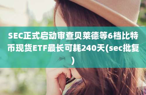 SEC正式启动审查贝莱德等6档比特币现货ETF最长可耗240天(sec批复)