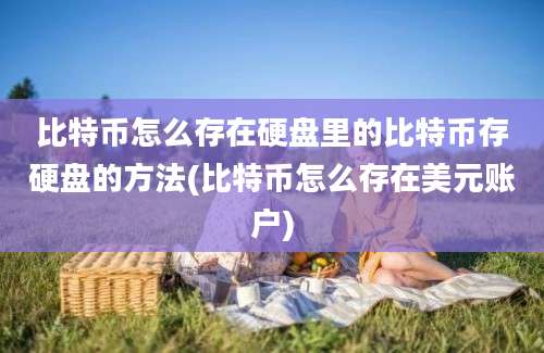 比特币怎么存在硬盘里的比特币存硬盘的方法(比特币怎么存在美元账户)