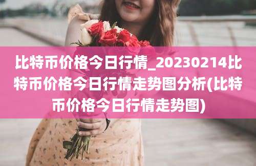 比特币价格今日行情_20230214比特币价格今日行情走势图分析(比特币价格今日行情走势图)