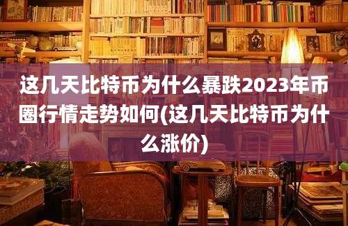 这几天比特币为什么暴跌2023年币圈行情走势如何(这几天比特币为什么涨价)