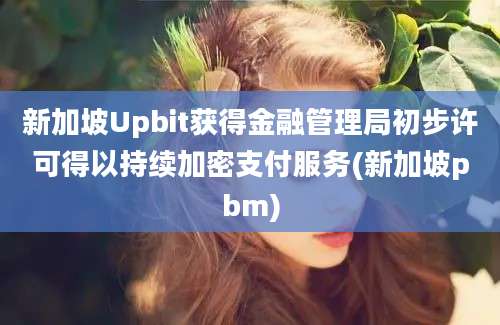 新加坡Upbit获得金融管理局初步许可得以持续加密支付服务(新加坡pbm)