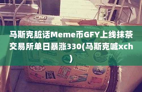 马斯克脏话Meme币GFY上线抹茶交易所单日暴涨330(马斯克喊xch)