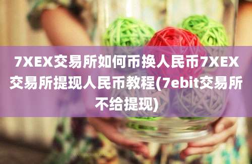 7XEX交易所如何币换人民币7XEX交易所提现人民币教程(7ebit交易所不给提现)