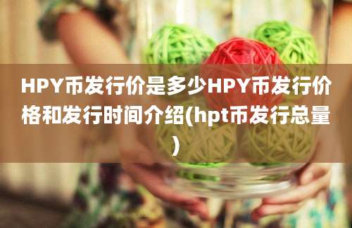 HPY币发行价是多少HPY币发行价格和发行时间介绍(hpt币发行总量)