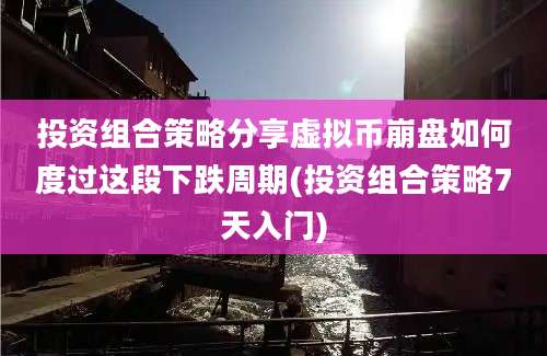 投资组合策略分享虚拟币崩盘如何度过这段下跌周期(投资组合策略7天入门)