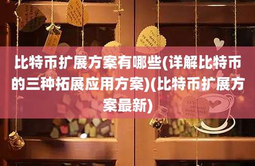 比特币扩展方案有哪些(详解比特币的三种拓展应用方案)(比特币扩展方案最新)