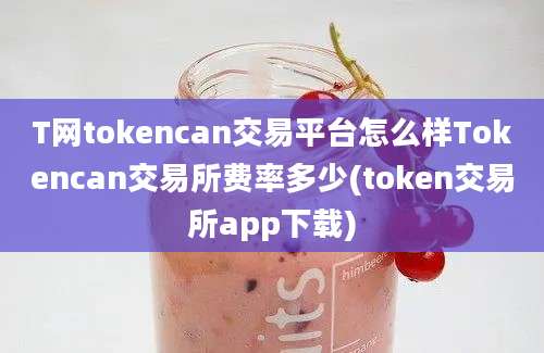 T网tokencan交易平台怎么样Tokencan交易所费率多少(token交易所app下载)